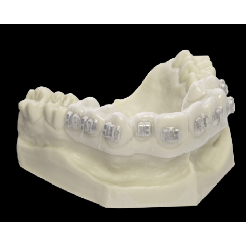 Blank-uri de termoformare - Bracket transfer tray - Dreve