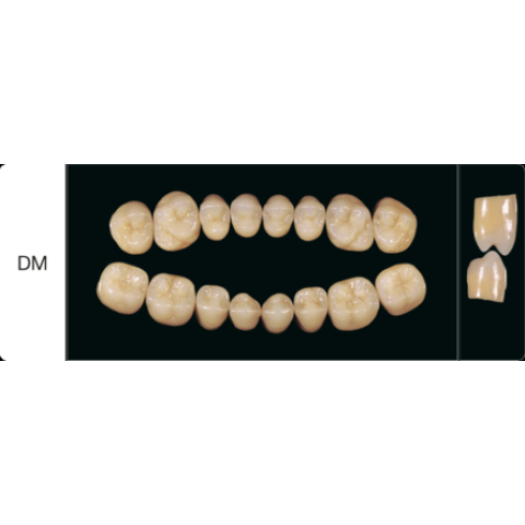 Proteza dentara Creapearl 2 Posterior - DM - Creation Willi Geller