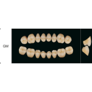 Proteza dentara Creapearl 2 Posterior - GM - Creation Willi Geller