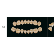 Proteza dentara Creapearl 2 Posterior - GS - Creation Willi Geller