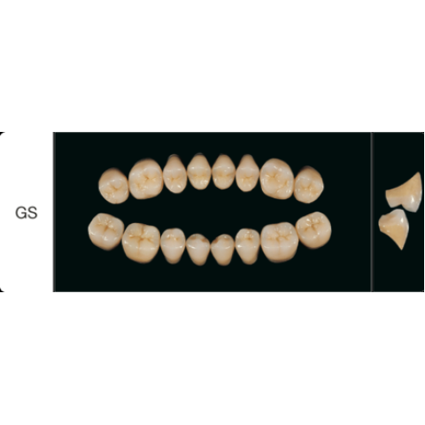 Proteza dentara Creapearl 2 Posterior - GS - Creation Willi Geller