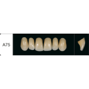 Proteza dentara Creapearl - A75 - Creation Willi Geller
