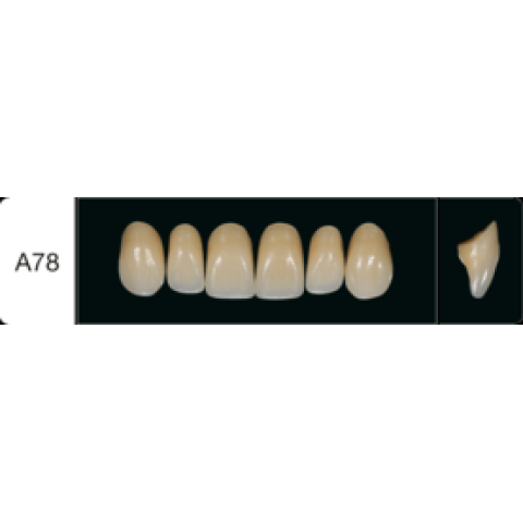 Proteza dentara Creapearl 2 Anterior - A78 - Creation Willi Geller