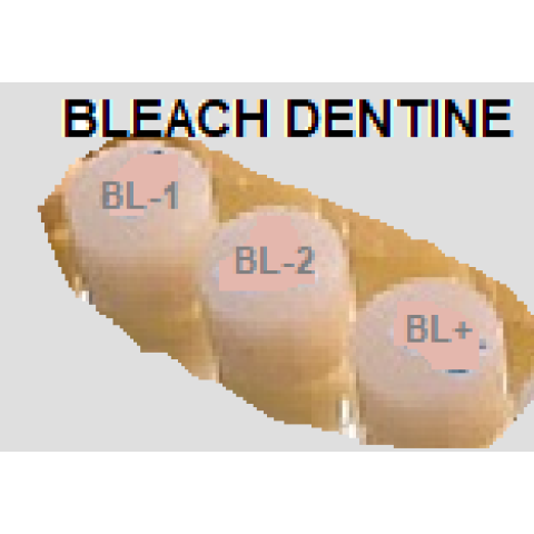 Ceramica presata Creation CP - Bleach Dentine - Creation Willi Geller