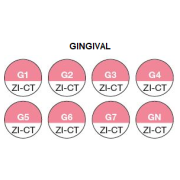 Ceramica dioxid de zirconiu Creation ZI-CT - Gingival - G1 -> GN - Creation Willi Geller