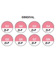 Ceramica dioxid de zirconiu Creation ZI-F - Gingival - G1 -> GN - Creation Willi Geller