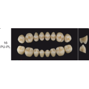 Proteza dentara Creopal - 16 PU-PL - Creation Willi Geller