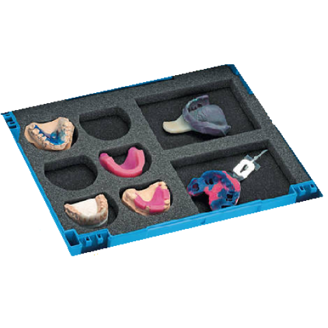 Insertie pentru 6 modele pentru cutia de transport medie - BDT Dental