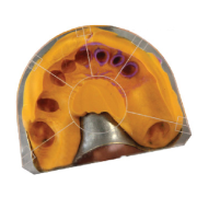 Placa de calibrare / transparenta Pinax - Roko Dent