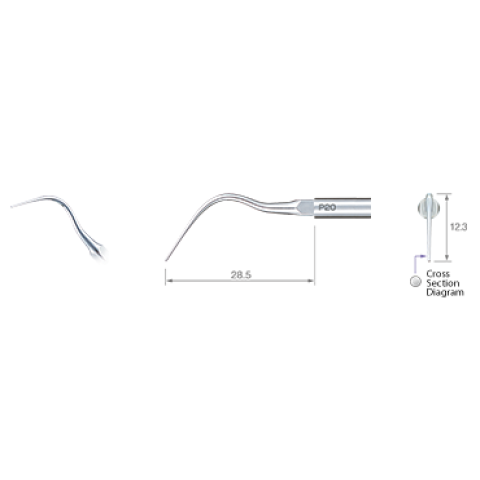 Ansa detartraj Perio - ultrasunete P20