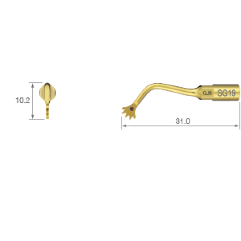 Ansa chirurgie Operatie osoasa - ultrasunete SG19