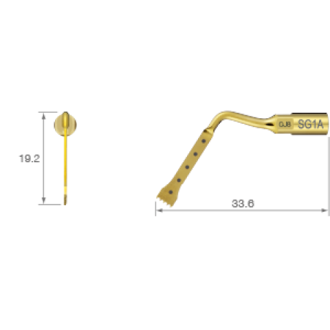 Ansa chirurgie Operatie osoasa - ultrasunete SG1A