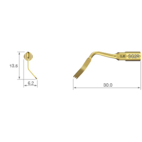 Ansa chirurgie Operatie osoasa - ultrasunete SG2R