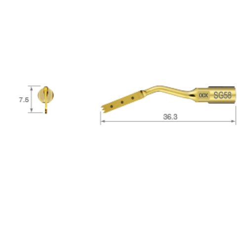 Ansa chirurgie Operatie osoasa - ultrasunete SG58